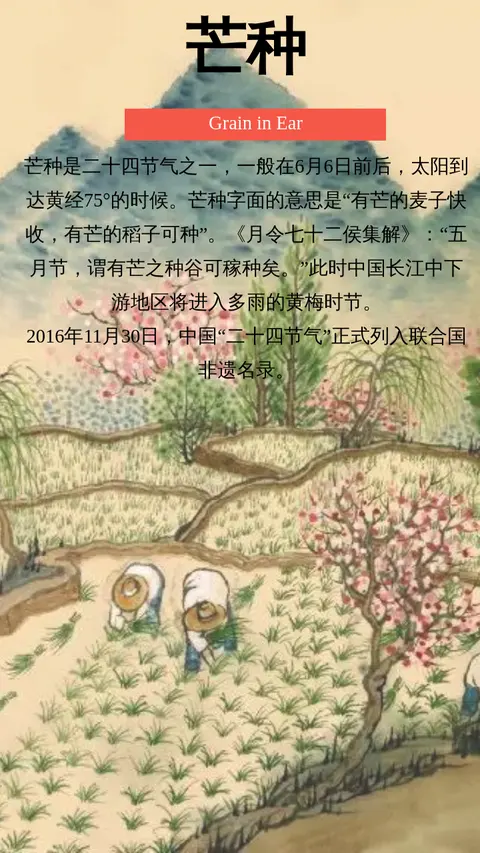 二十四节气  芒种
