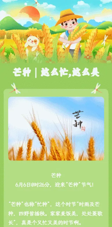 芒种｜这么忙，这么美