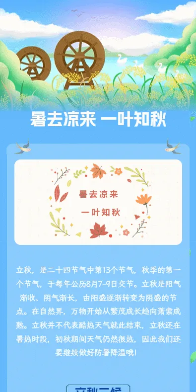 暑去凉来 一叶知秋