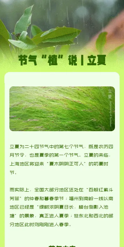节气“植”说丨立夏