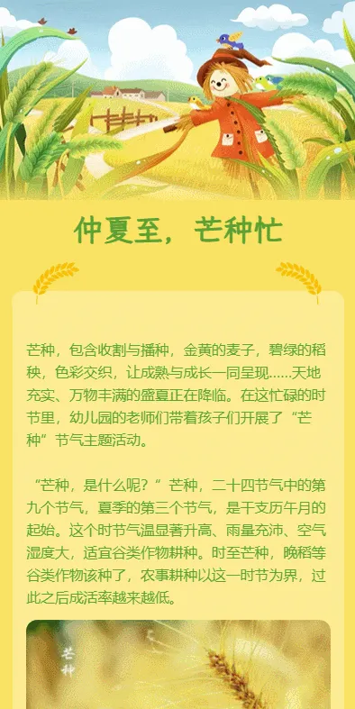 仲夏至，芒种忙