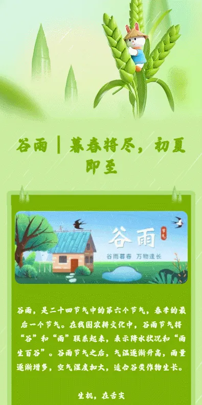谷雨 | 暮春将尽，初夏即至