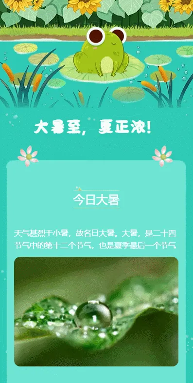 大暑至，夏正浓！