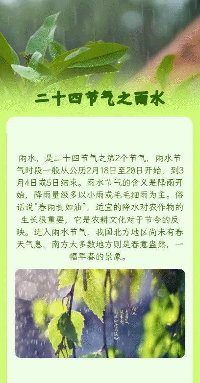 二十四节气之雨水