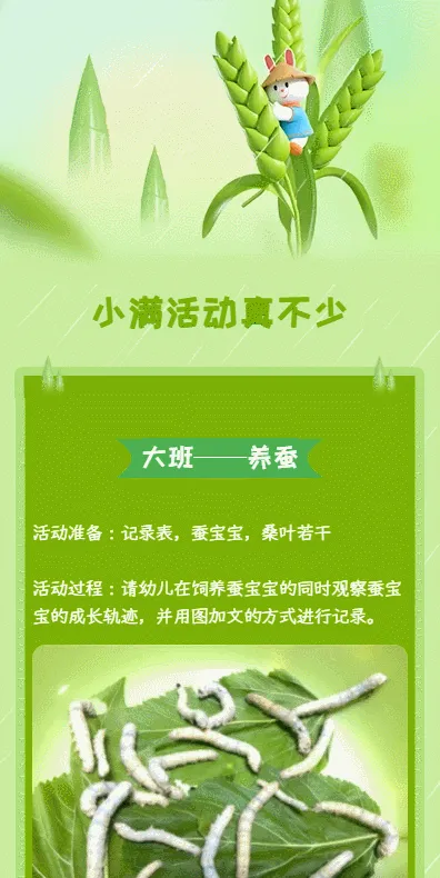 小满活动真不少