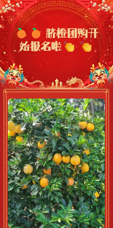 🍊🍊 脐橙团购开
始报名啦👏 👏